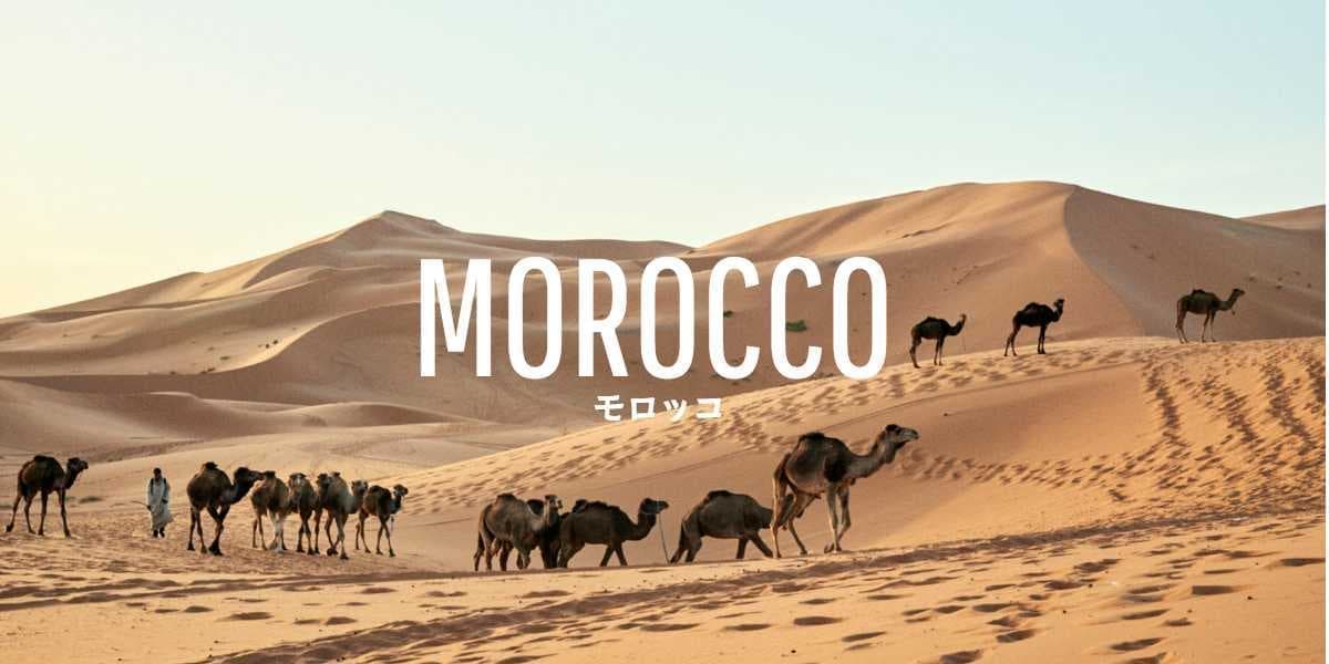 モロッコの旅写真_サハラ砂漠