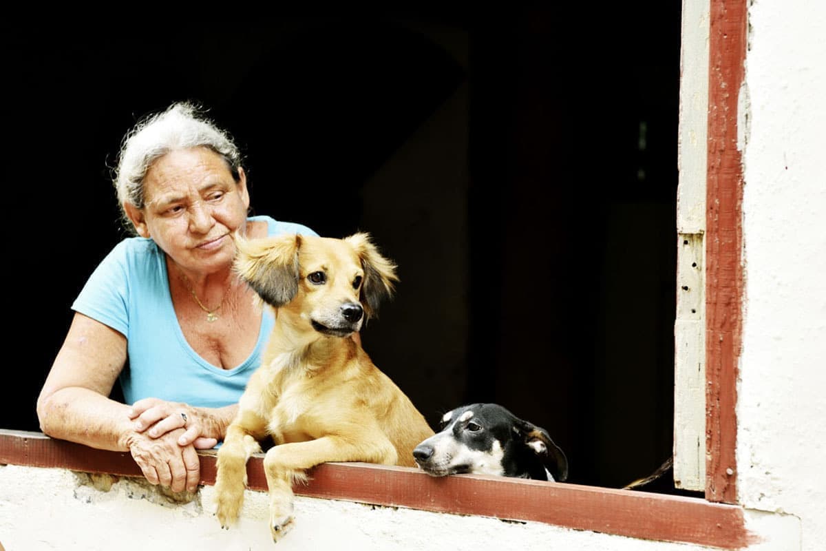 キューバの旅写真_ハバナの老婆と犬