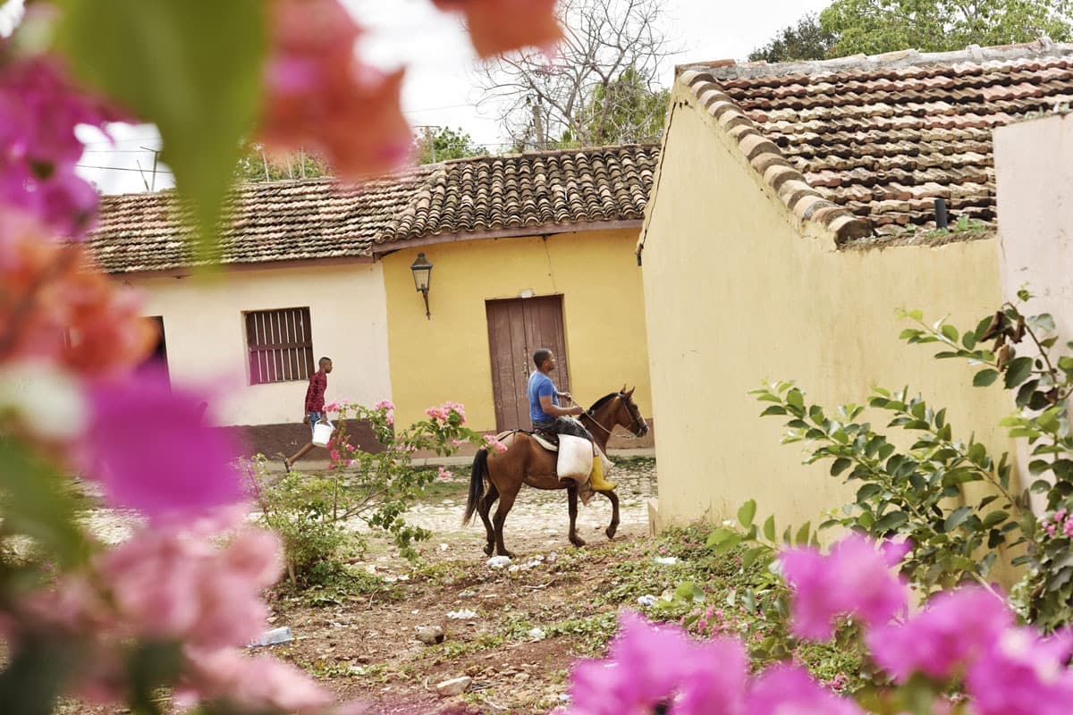 キューバの旅写真_トリニダーの馬乗りと花